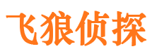 马龙市调查公司